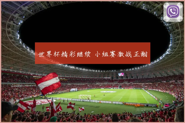 世界杯精彩继续 小组赛激战正酣