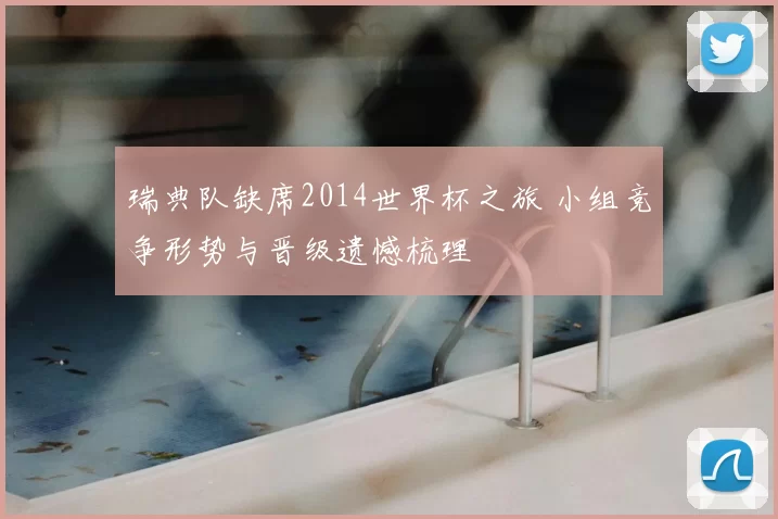 瑞典队缺席2014世界杯之旅 小组竞争形势与晋级遗憾梳理