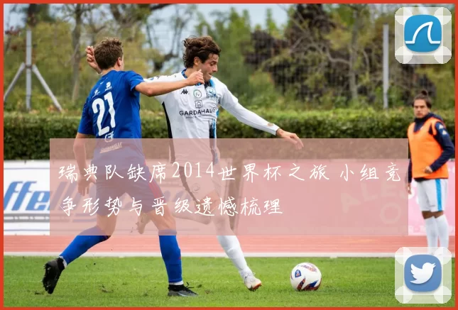 瑞典队缺席2014世界杯之旅 小组竞争形势与晋级遗憾梳理