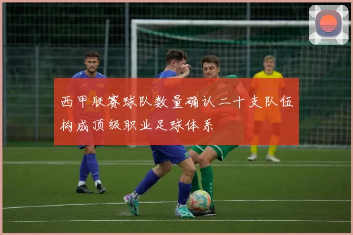 西甲联赛球队数量确认二十支队伍构成顶级职业足球体系