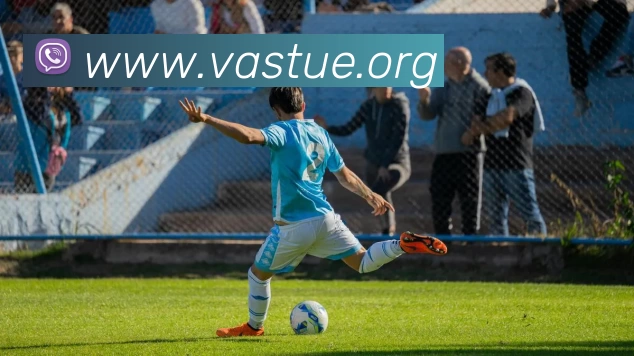 App Interface Preview