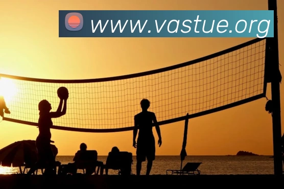 必一·运动(B - SPORTS)官方网站APP 封面图